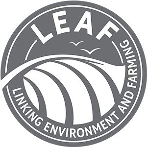 LEAF