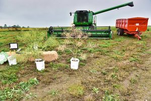 ucff farm tour